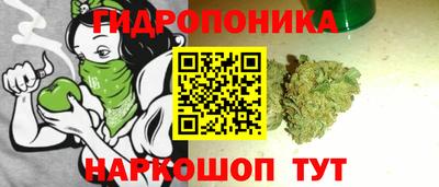 jwh Кинель