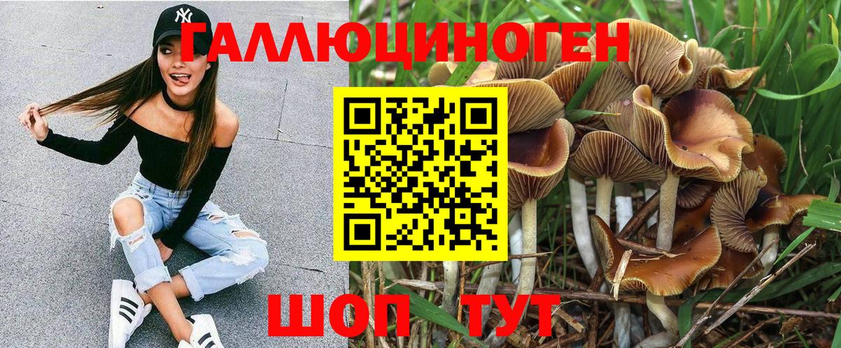 Коркино  Псилоцибиновые грибы Psilocybe  Псилоцибиновые грибы Cubensis  Вход с VPN 